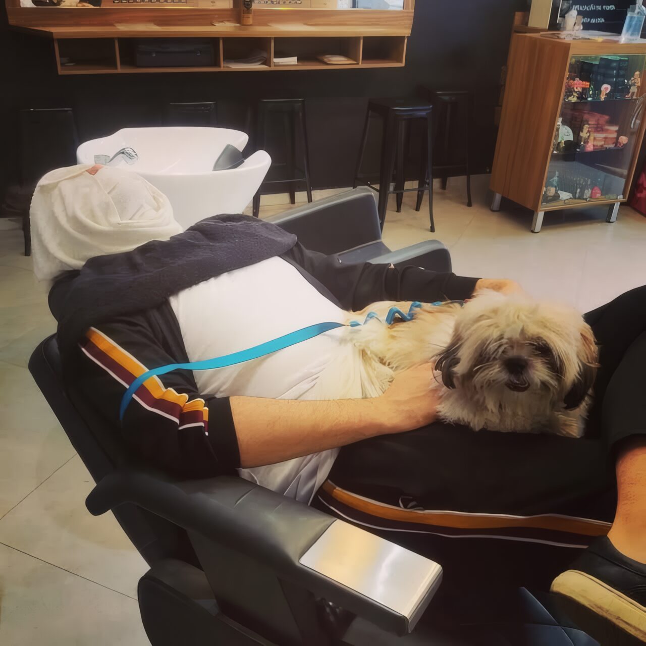Cachorro deitado no colo de um cliente durante o atendimento
